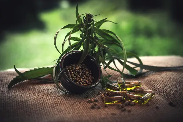 Comment bien utiliser le CBD : guide pratique pour débutants