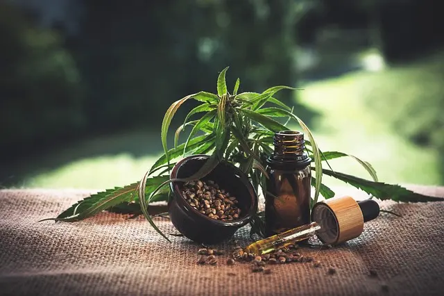 Comment bien choisir son huile de CBD : guide pratique