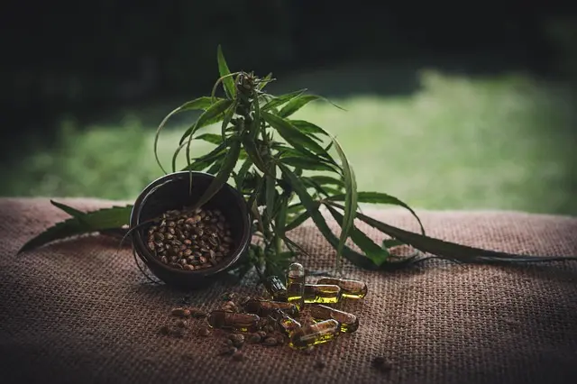 Guide pratique pour comprendre l'étiquetage des produits CBD