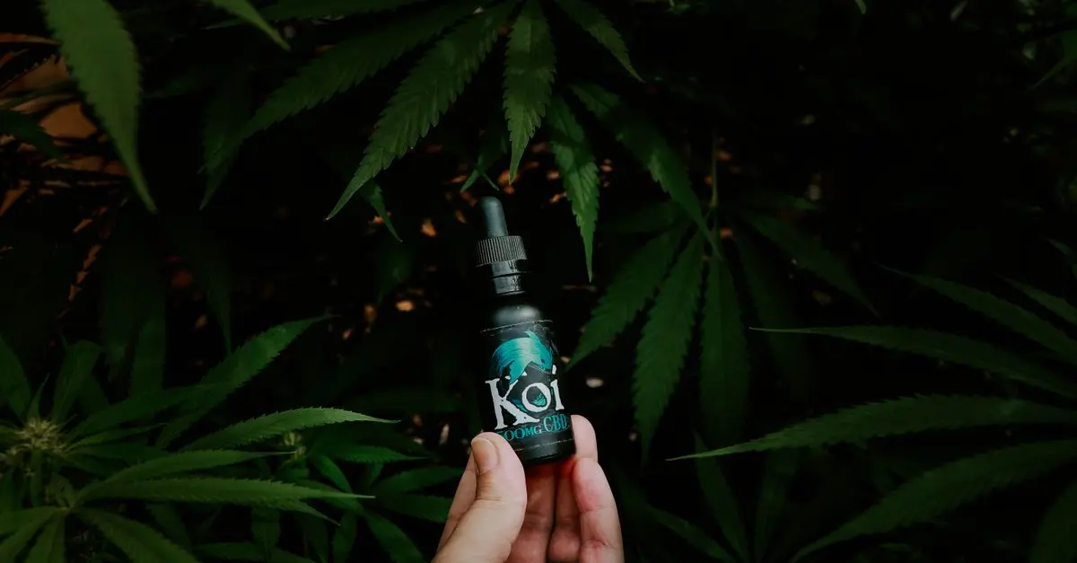 Comment optimiser votre expérience avec le CBD
