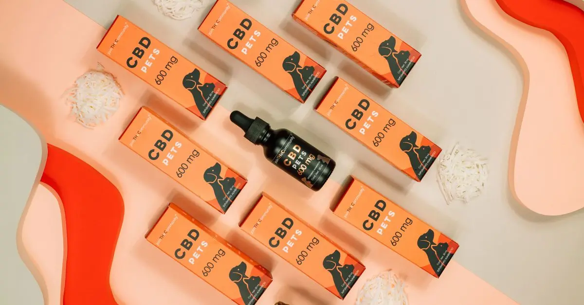Les avantages du CBD pour la productivité : que faut-il savoir ?