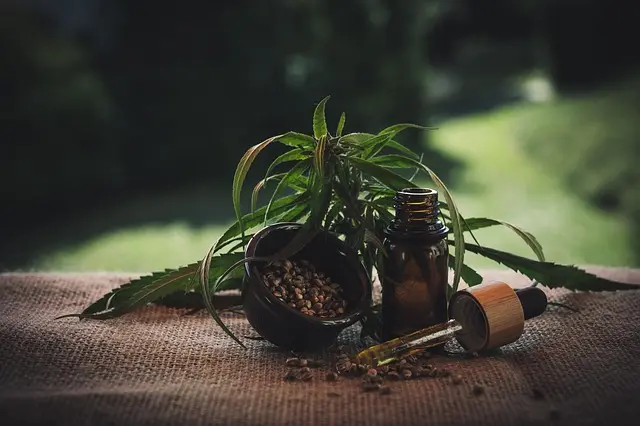 Les bienfaits surprenants du CBD pour votre bien-être