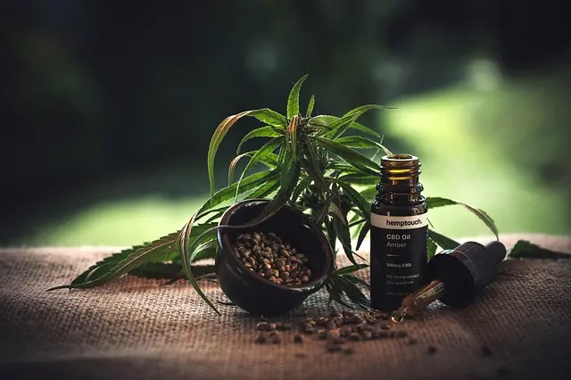 Les meilleures pratiques pour utiliser le CBD efficacement