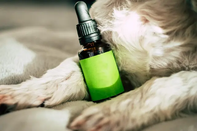 Tout savoir sur les effets du CBD sur la santé mentale