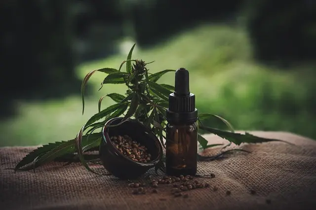 Comment bien choisir votre CBD : guide pratique pour débutants