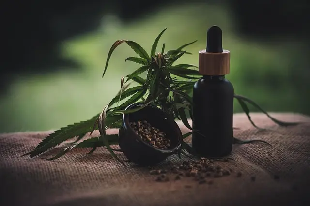 Les différents modes de consommation du CBD : guide détaillé
