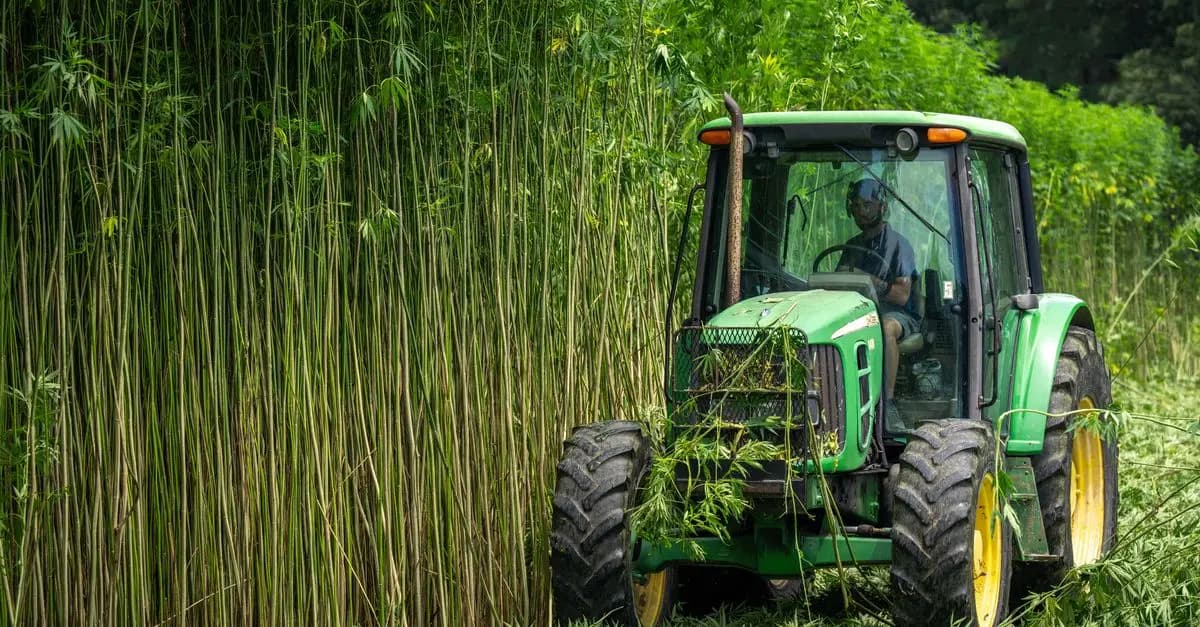 Les erreurs à éviter lors de l'utilisation des produits CBD