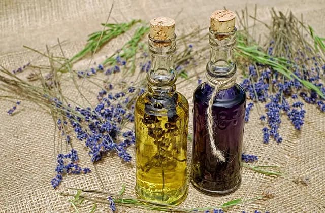 Comment choisir son huile de CBD : guide pratique