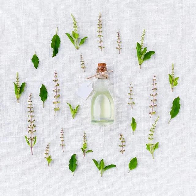 Comment choisir son huile de CBD : guide pratique