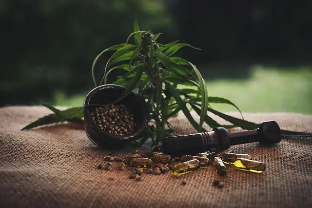 Les meilleures méthodes de consommation du CBD : guide pratique