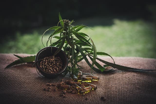 Guide pratique pour utiliser le CBD en toute sécurité