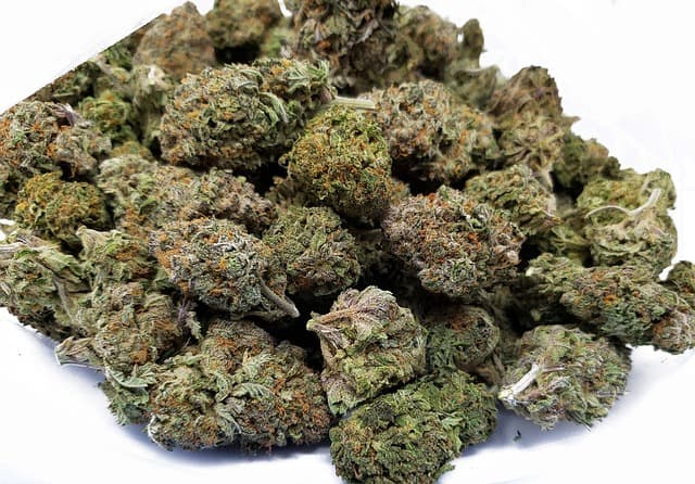Comment identifier les différentes variétés de CBD ?