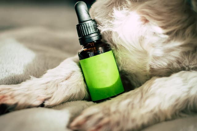 Mon CBD Pro : Les avantages méconnus du CBD